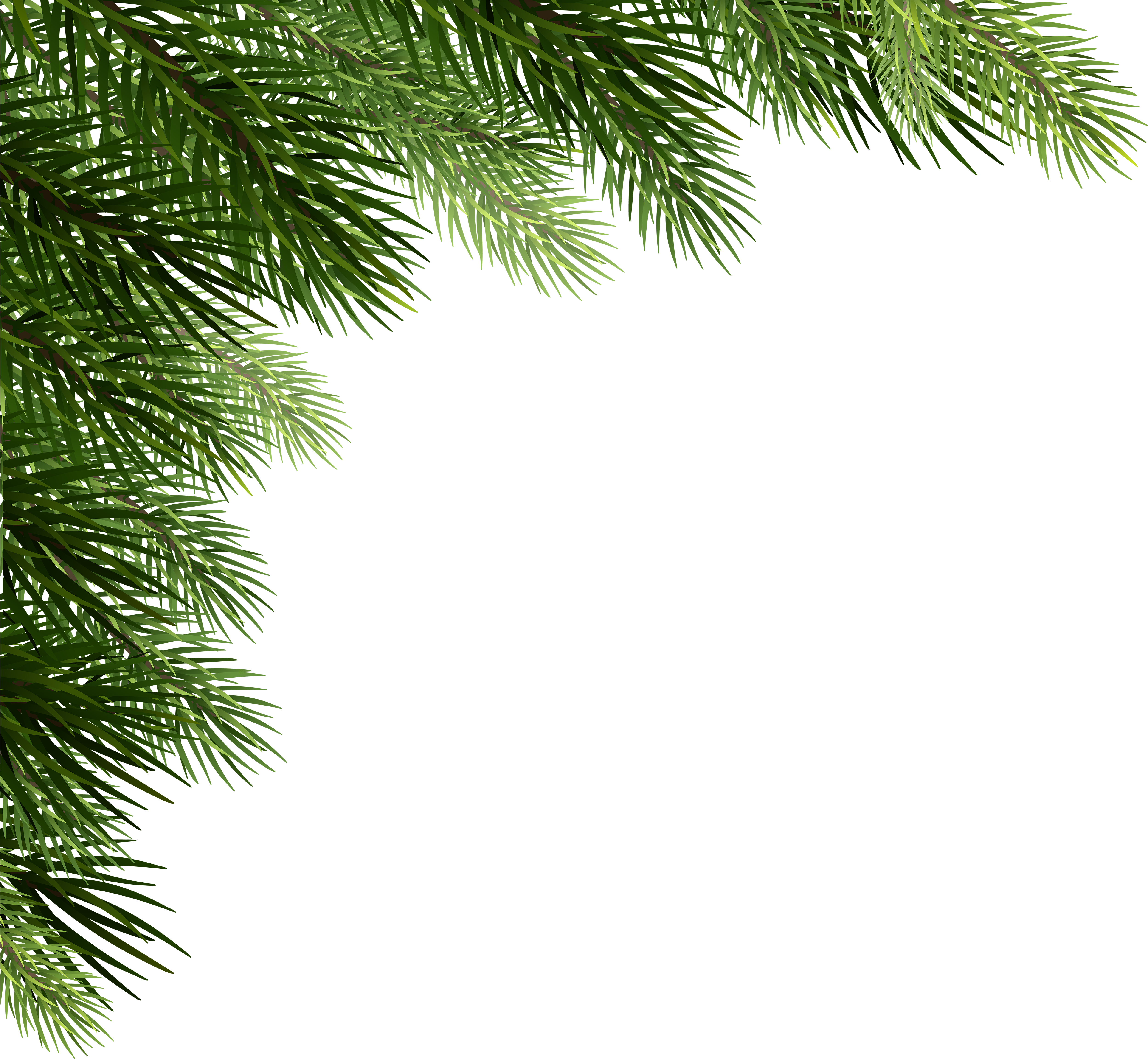 Stylized green number "2026" partially covered by pine needles, evoking nature and renewal.