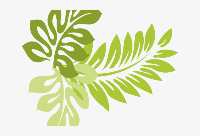 Stylized green tropical leaves including monstera and fern in layered vector illustration.