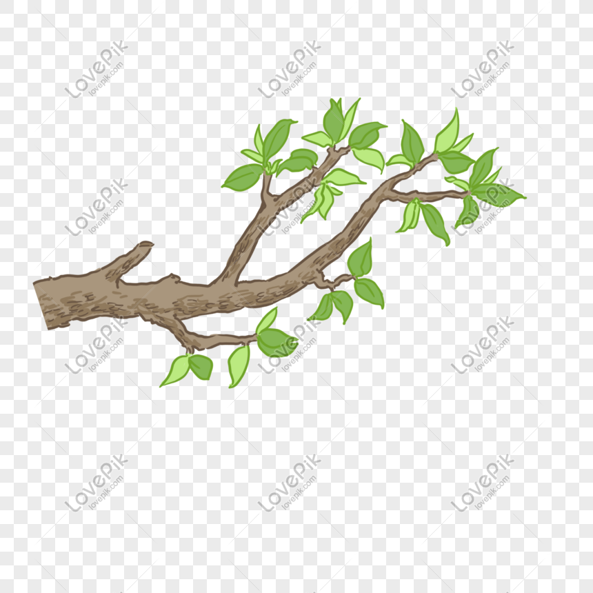 A hand-drawn brown tree branch with fresh green leaves on a transparent background.