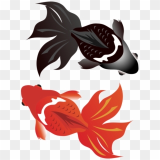 Ornamental Goldfish Illustration | Aquatic Art & Design Resources