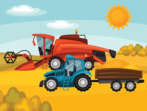 Red combine harvester and blue tractor with trailer harvesting golden wheat under a sunny sky.