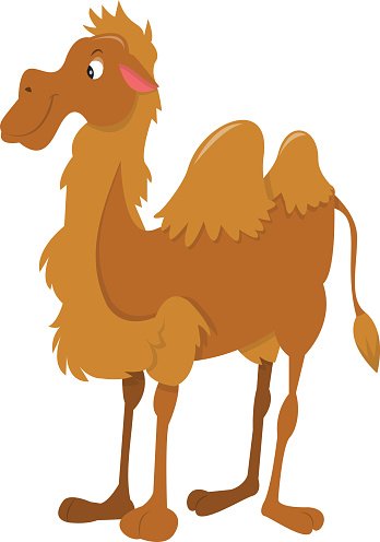 Friendly cartoon camel with one hump, smiling face, and fluffy brown fur standing upright.