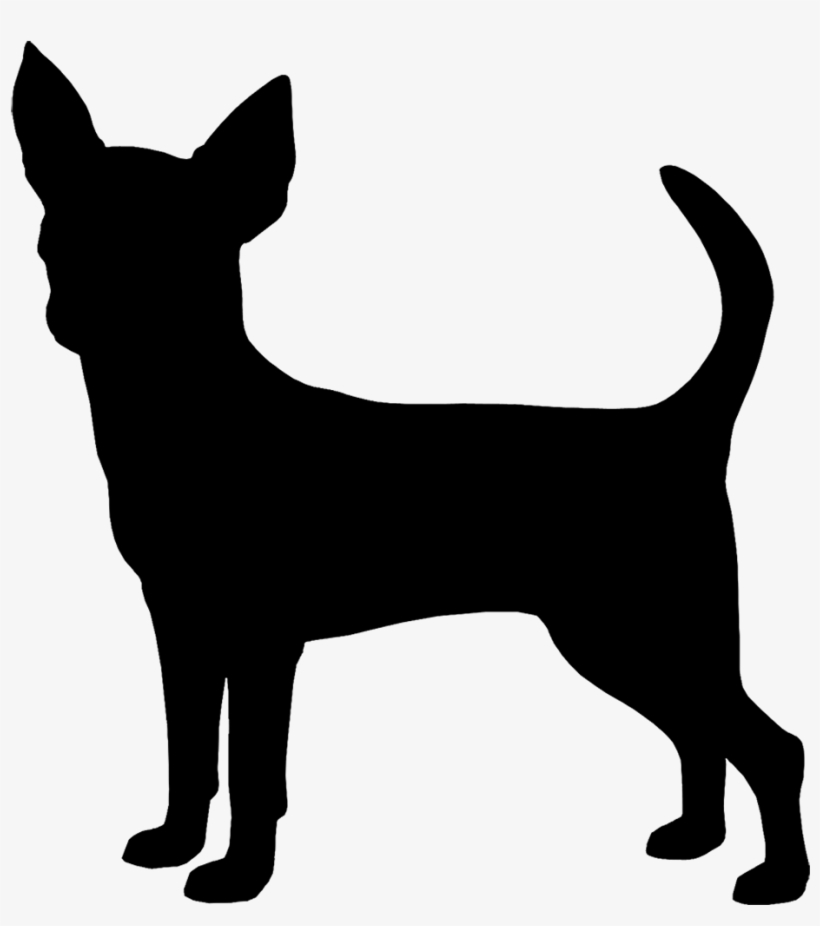 Black silhouette of a standing Chihuahua with perked ears and curled tail.