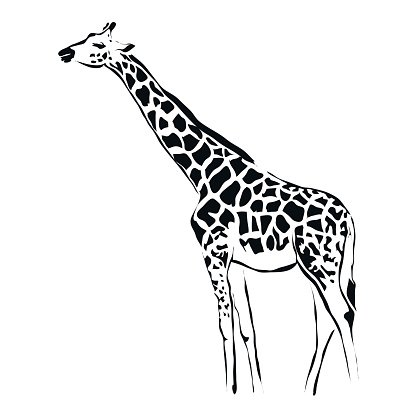 giraffe outline clip art
