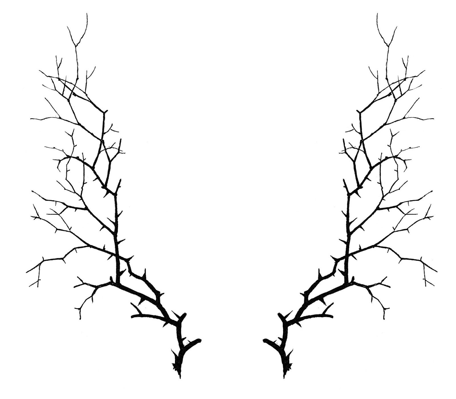 Symmetrical black silhouette of two thorny, leafless branches forming a V-shape on white background.