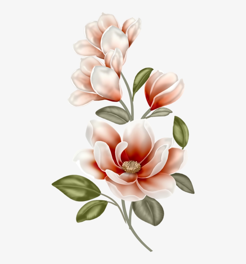 Elegant pink and white magnolia flowers with green leaves on a light background