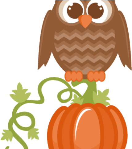 A cartoon brown owl with large eyes perches on a green vine above a bright orange pumpkin.