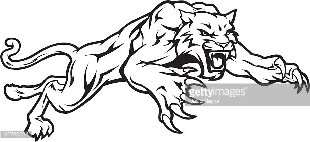 Free black wildcats, Download Free black wildcats png images, Free