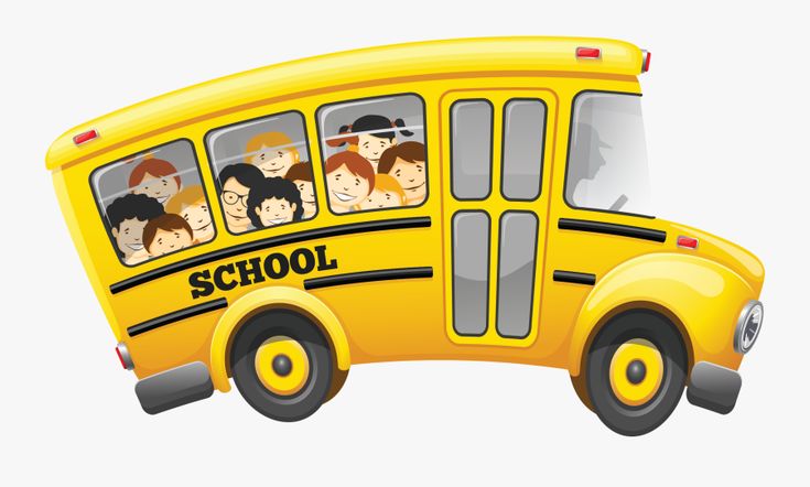 School Bus Transportation for Students | Safe & Reliable Learning Commute
