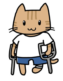 A cartoon cat with a bandaged leg using crutches, wearing a white t-shirt and blue shorts.