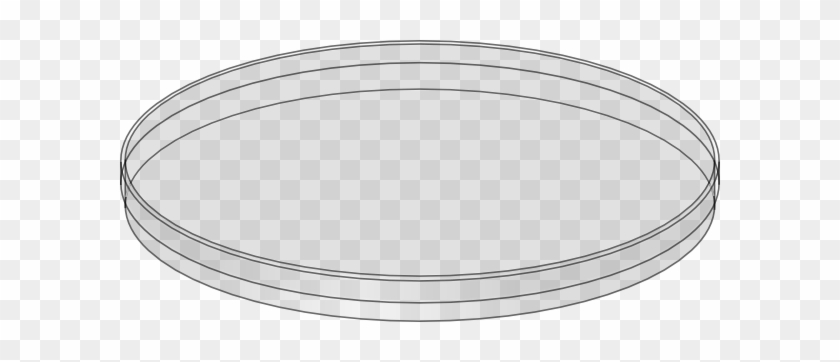 Petri Dish Illustration - Scientific Lab Equipment Diagram