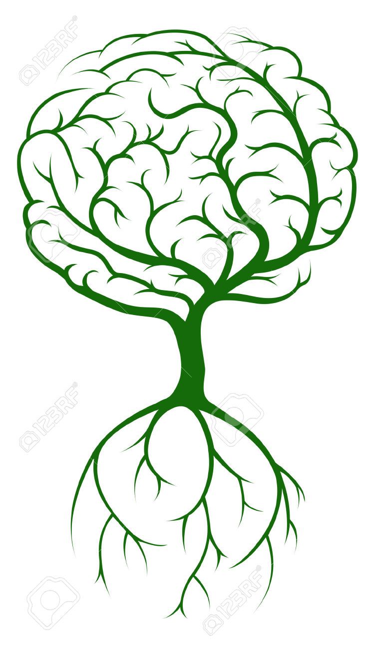 Green stylized brain shaped like a tree with roots, symbolizing growth, learning, and neural connections.