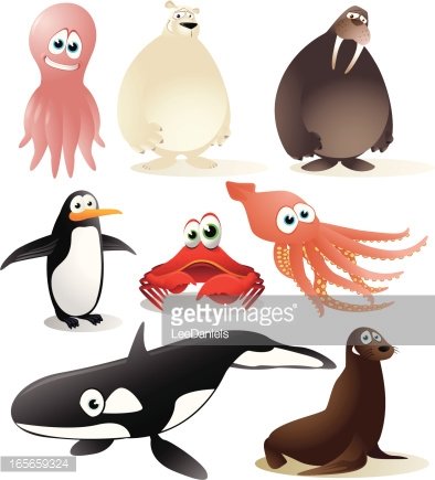 Cartoon illustrations of eight marine animals: octopus, polar bear, walrus, penguin, crab, squid, orca, and sea lion.