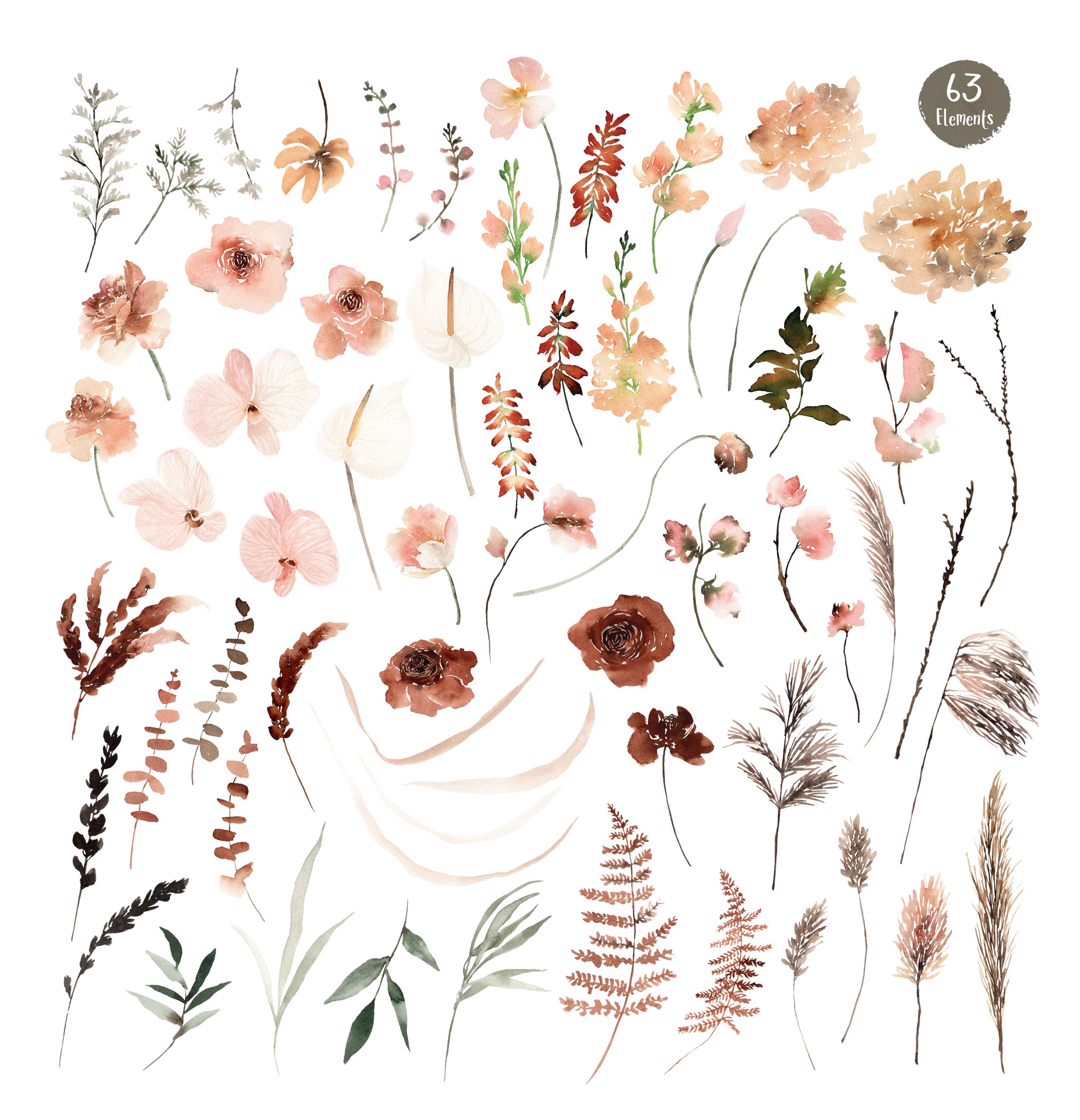 Watercolor floral and botanical illustration set with 63 elements in soft peach, terracotta, and sage tones.