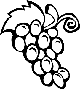 Grape Cluster Illustration - Simple Line Art for Design & Education