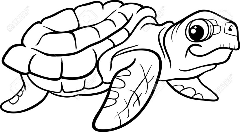 Sea Turtle Coloring Page - Free Printable for Kids & Educators