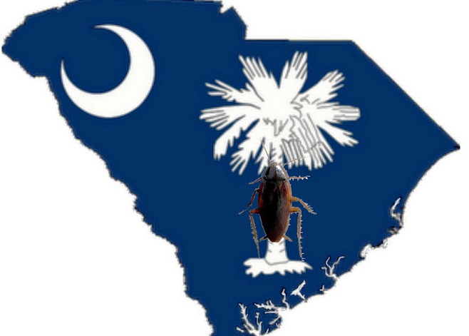 Cockroach Infestation in South Carolina: Identification and Control