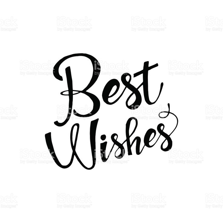 Elegant black calligraphy text reading "Best Wishes" on a clean white background.