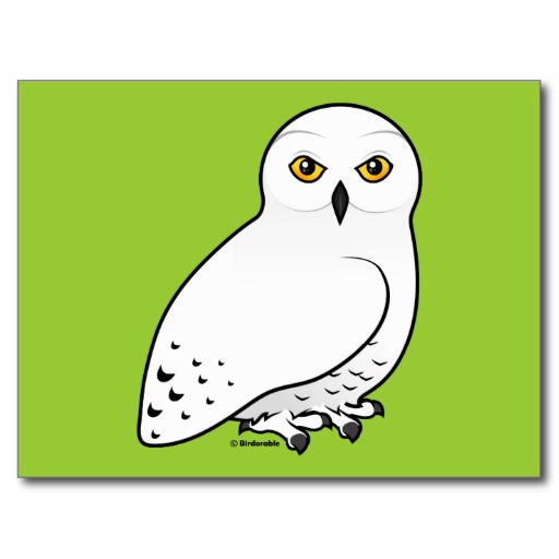 How to Draw Hedwig, Harry Potter's Snowy Owl – Draw Fluffy
