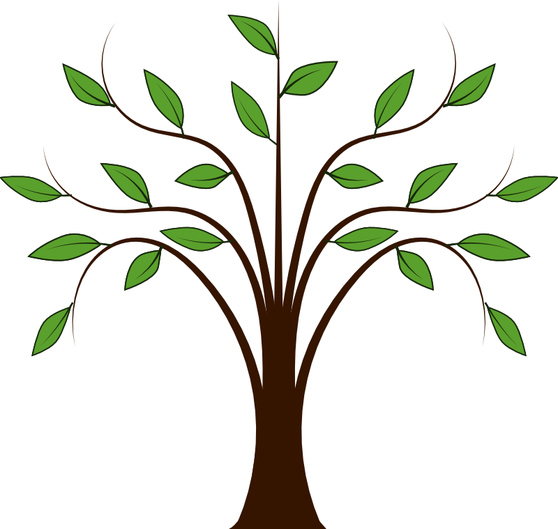 Simple Tree Illustration for Nature, Education, or Design Projects