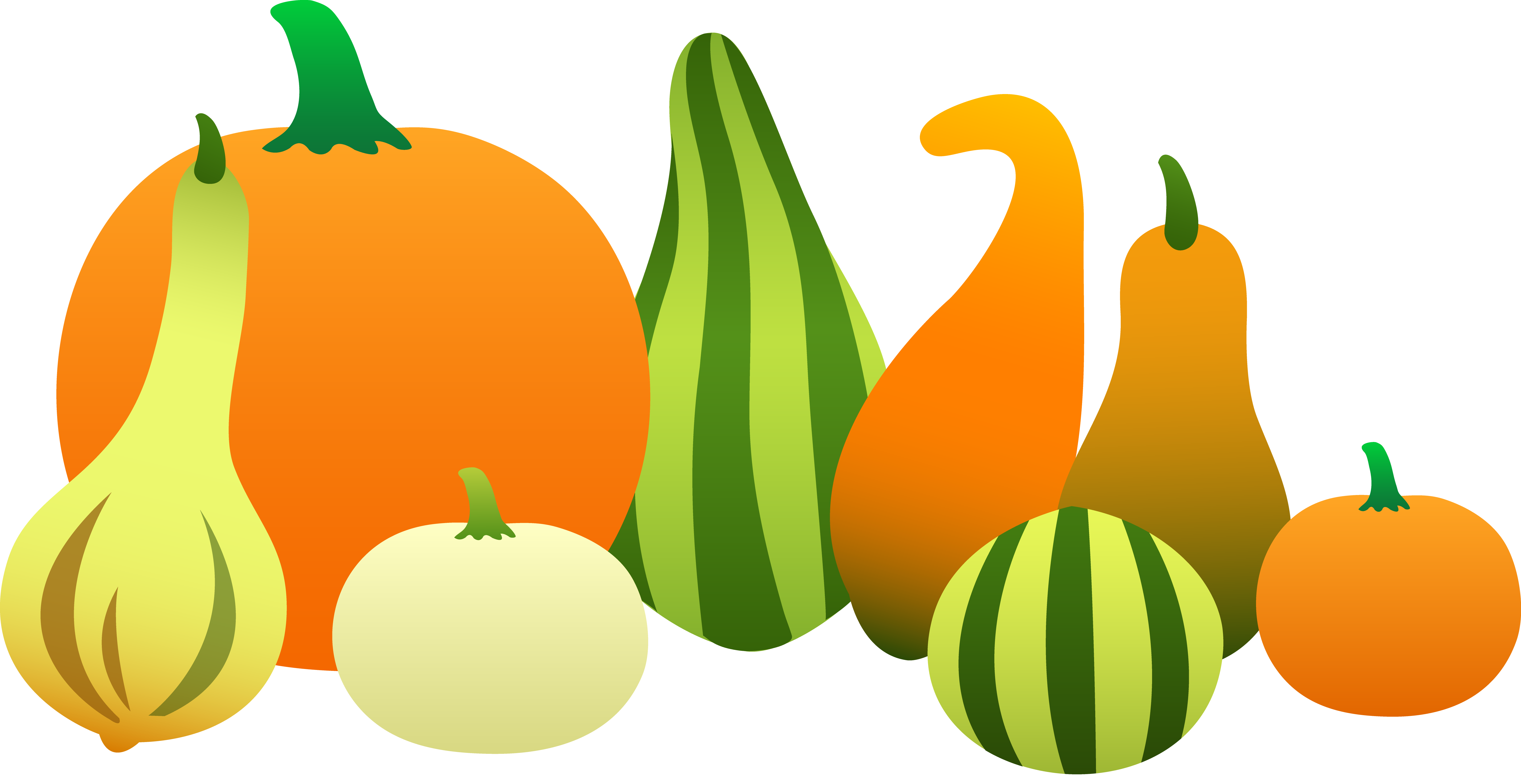 A colorful illustration of various squash and pumpkins including orange, yellow, green striped, and white varieties against a black background.