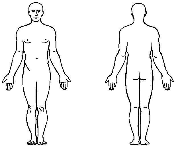 model drawings