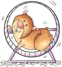 A cheerful cartoon hamster running inside a purple exercise wheel with motion lines indicating movement.