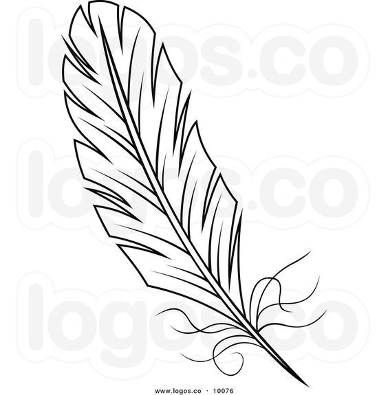 Black and white line drawing of a detailed feather with barbs and quill, stylized for illustration or logo use.