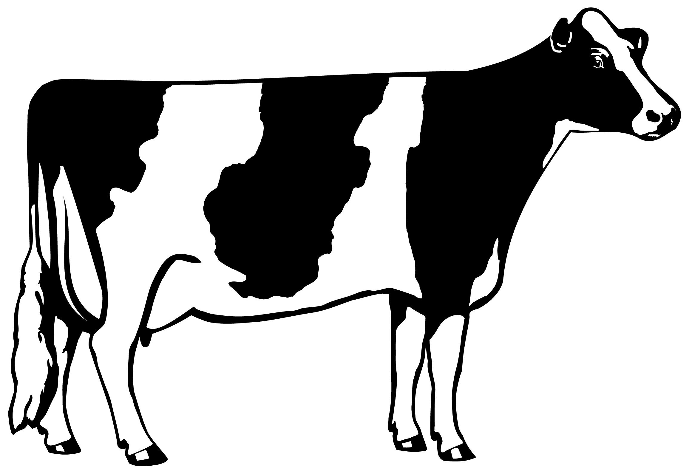 Black and white Holstein cow silhouette standing in profile view.