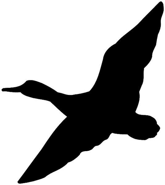 Silhouette of a duck in flight with wings spread wide against a white background.