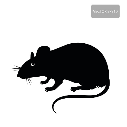 Black Rats Clip Art Library