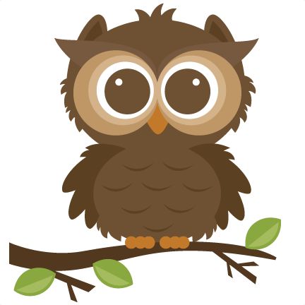 Cute cartoon brown owl with large eyes perched on a leafy branch.