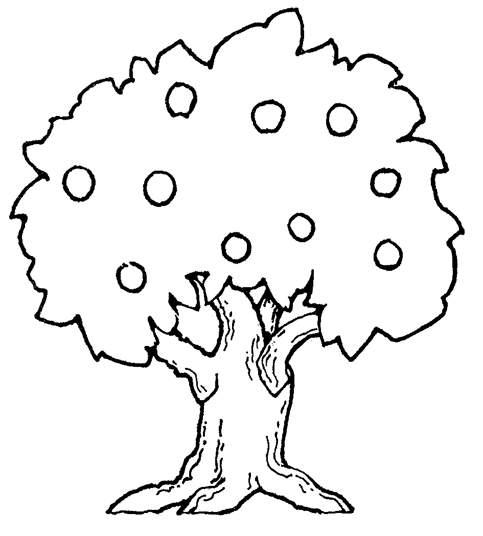 Black-and-white line drawing of a leafy tree with circular fruits or apples scattered in its canopy.