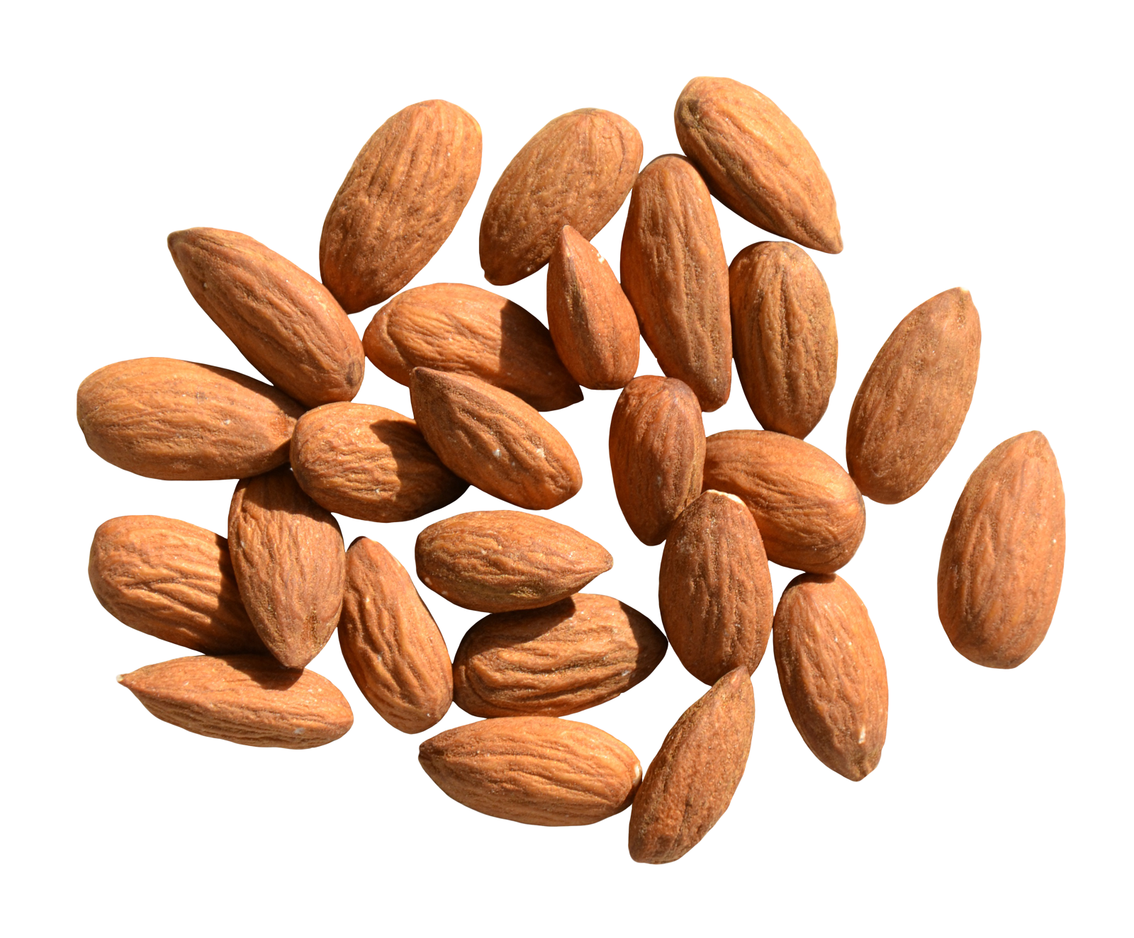 Almonds Clipart