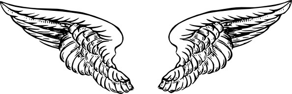 Black-and-white line drawing of a pair of symmetrical angel wings with detailed feather texture and outstretched form.
