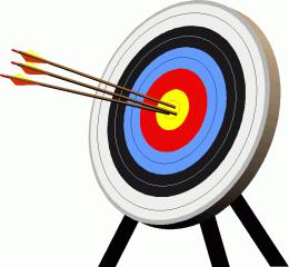 Archery Target with Arrows - Precision Shooting Illustration