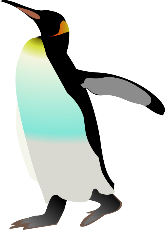 Modern Penguin Illustration - Free Vector Graphic for Wildlife & Education Sites