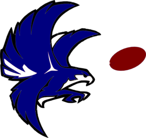 Eagle Mascot Logo with Qatar Flag Design - Sports Team Identity