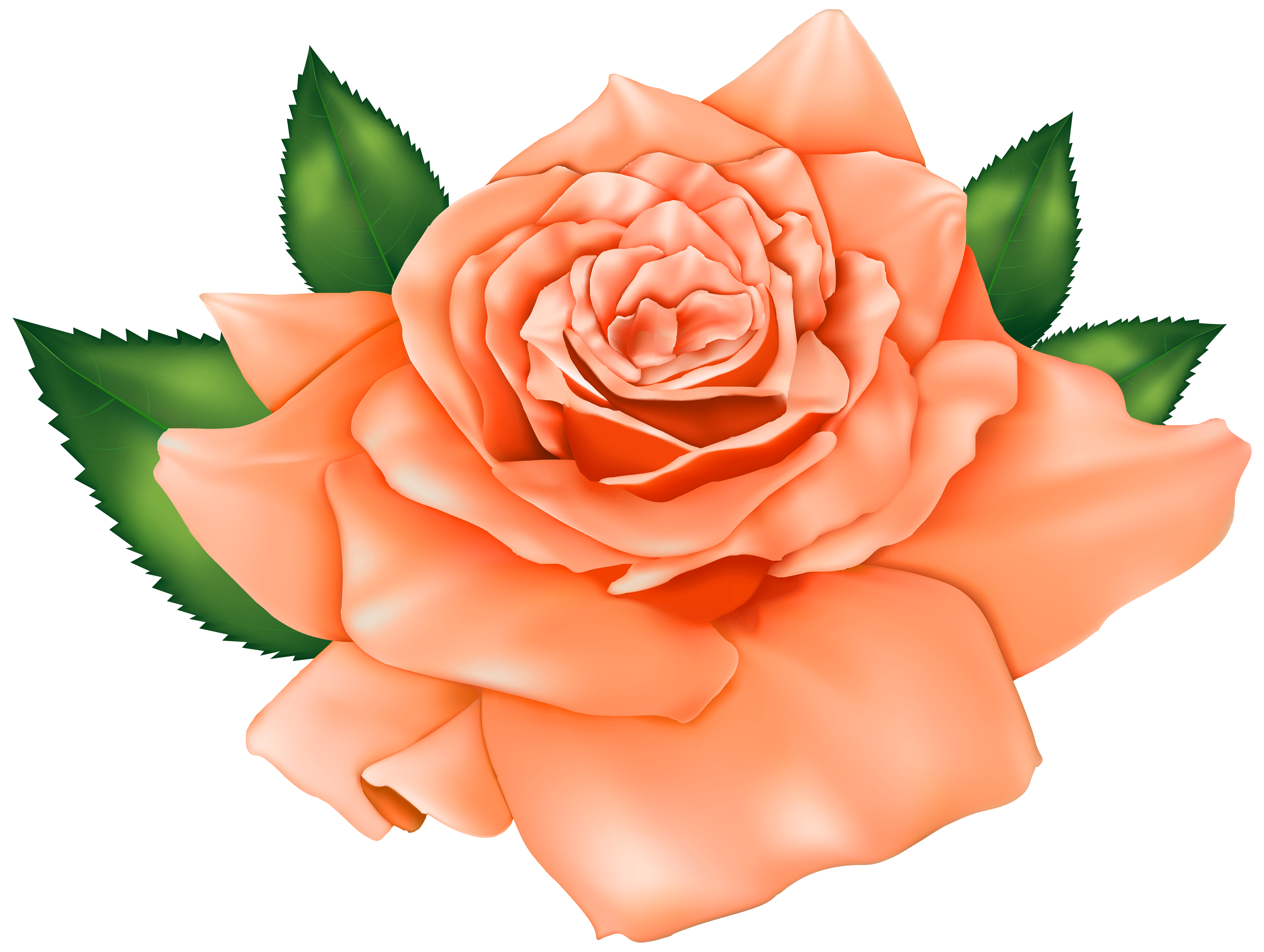 Vibrant peach-colored rose in full bloom with lush green leaves, digitally rendered with soft lighting and realistic petal texture.