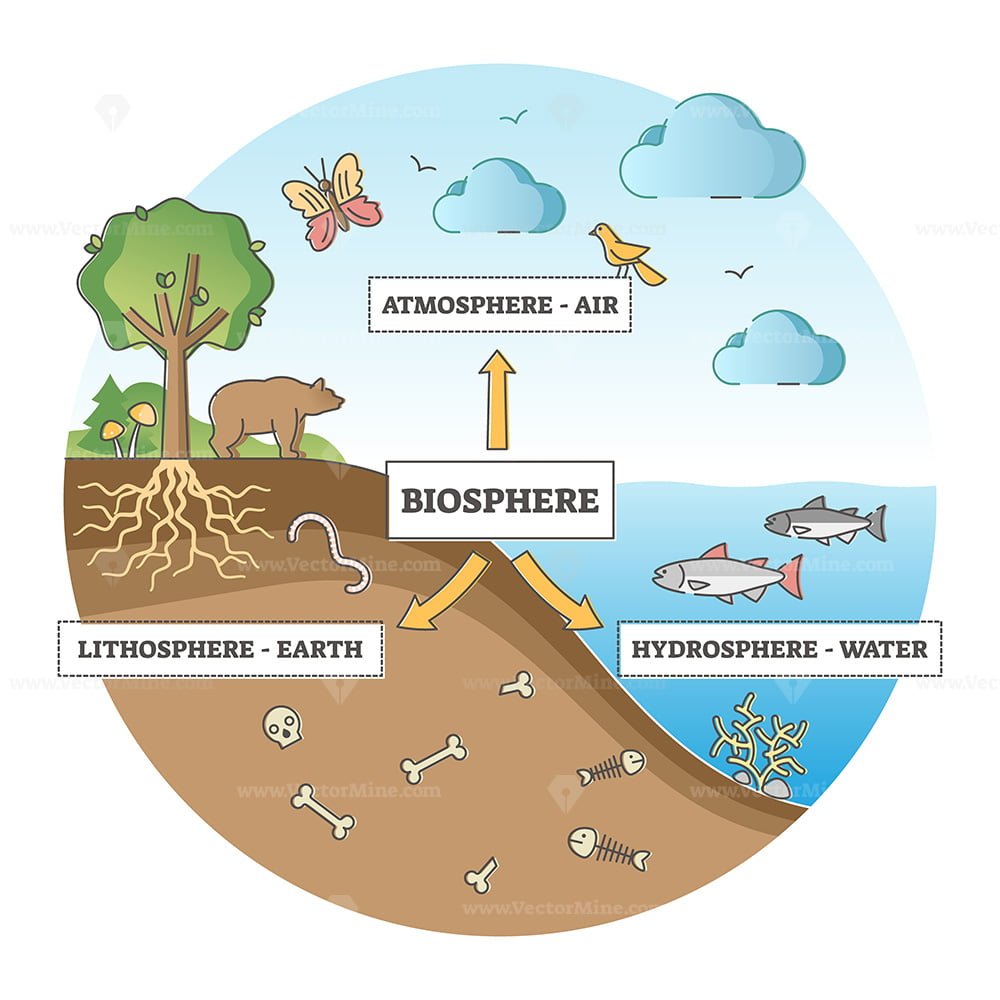 lithospheres - Clip Art Library