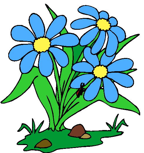 Three blue daisies with yellow centers, green leaves, a ladybug, and small rocks on grassy ground.