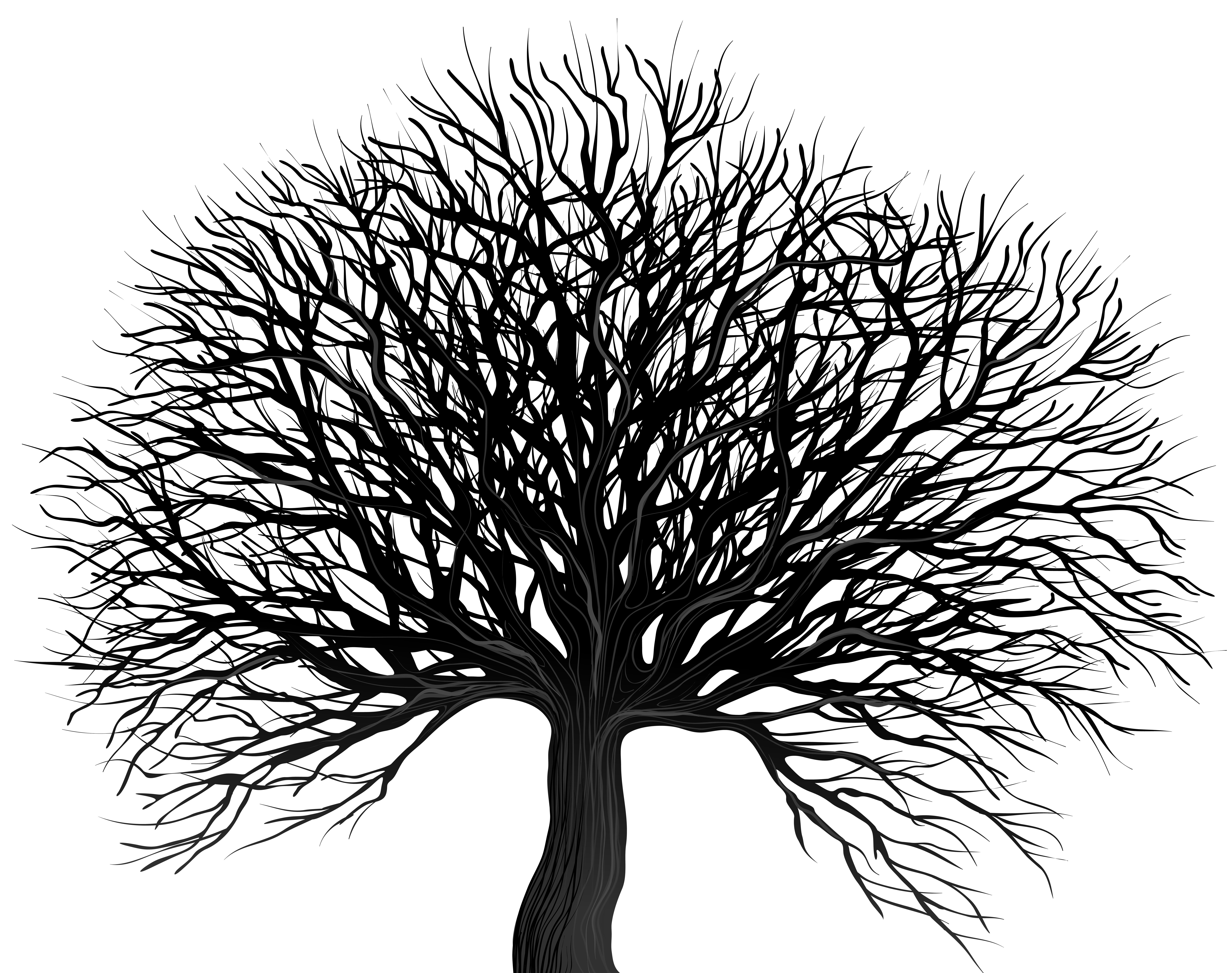 Silhouette of a bare, gnarled tree with intricate branches against a dark background, evoking mystery and solitude.