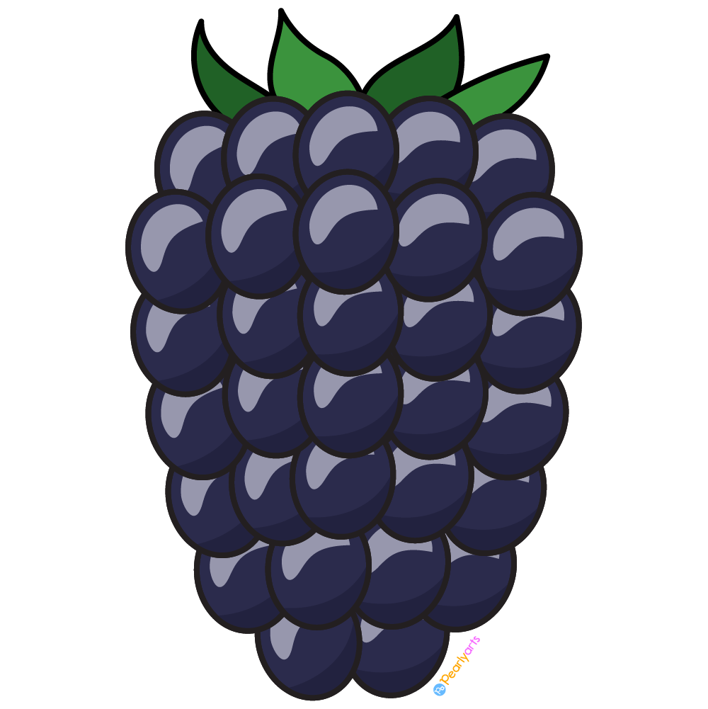 Purple Grape Illustration - Free Clipart for Food & Education