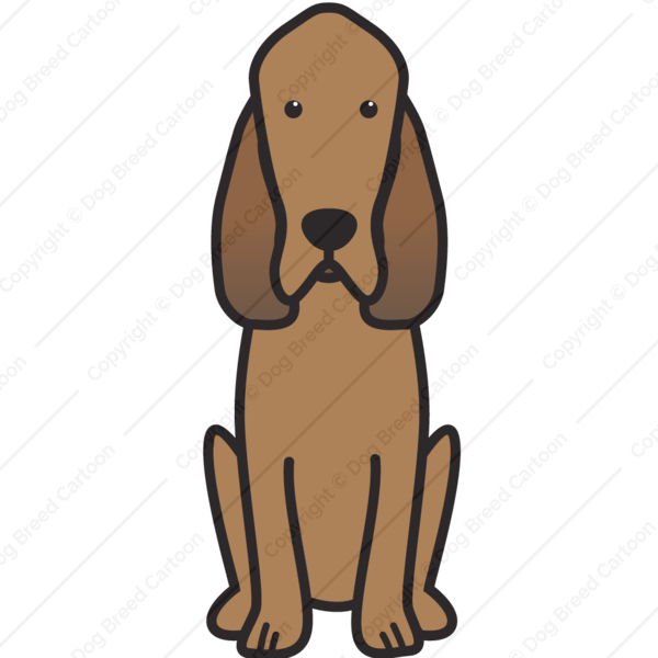 Bloodhound Dog Breed Cartoon Illustration | Free Clipart & Educational Resource
