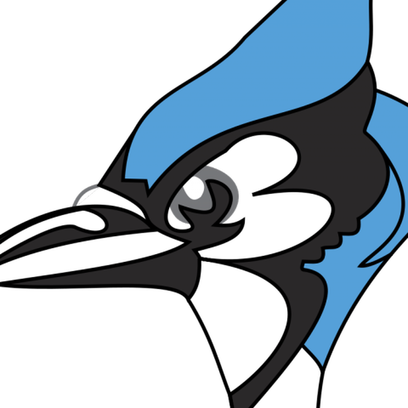 blue jay - Clip Art Library