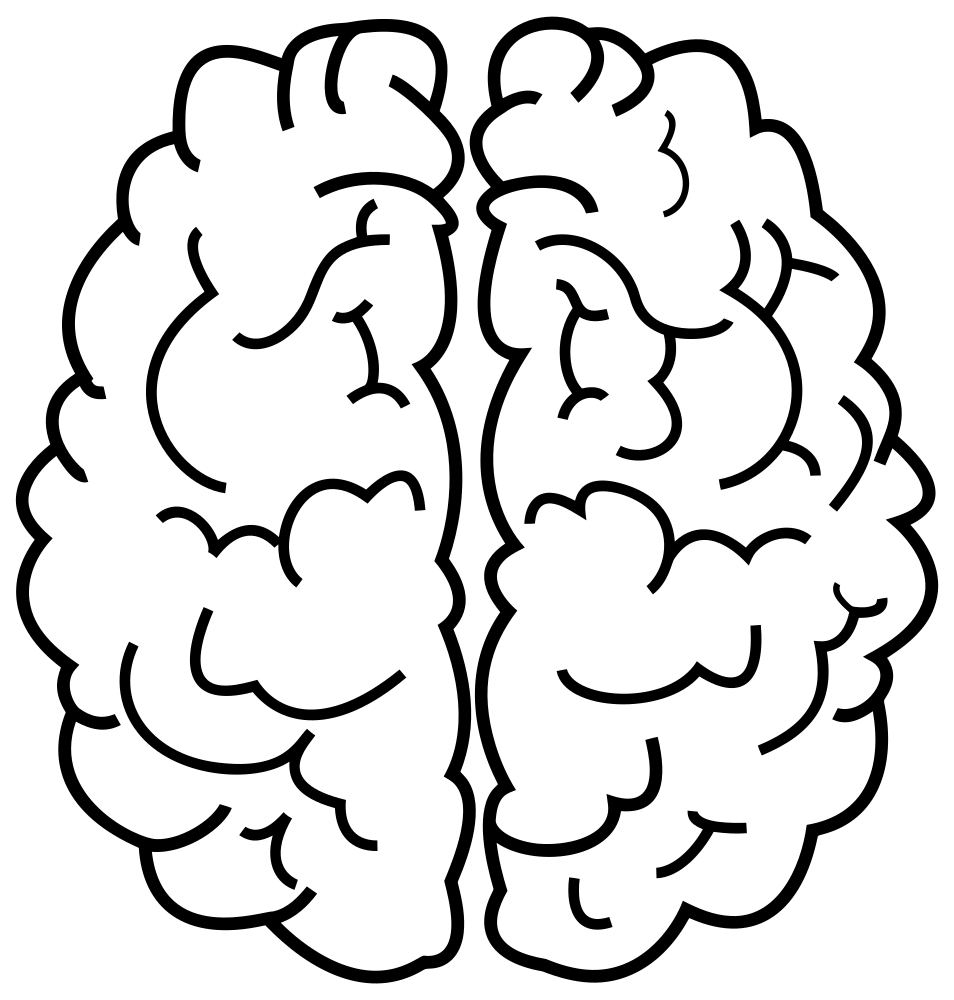 Image Not Available - Placeholder Graphic