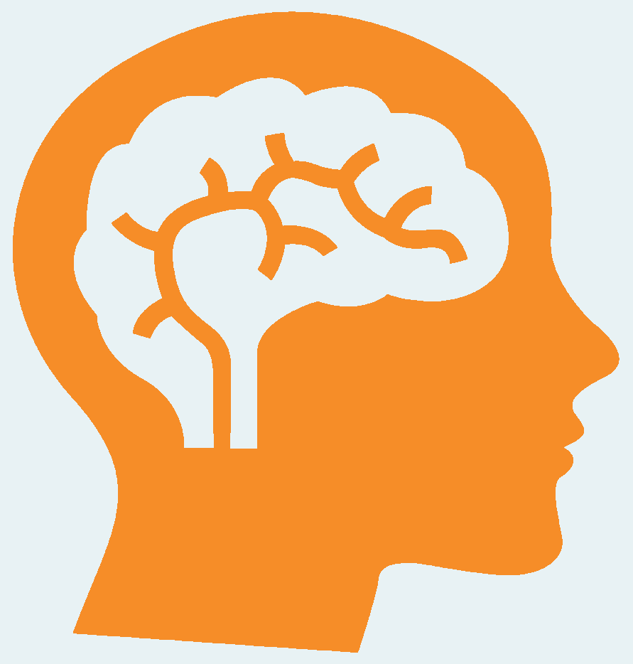 Orange silhouette of a human head in profile with a stylized brain inside, symbolizing cognition and mental processes.