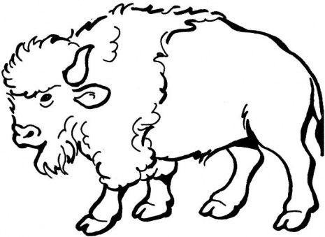 Black-and-white line drawing of a bison in profile, showing shaggy fur, horns, and sturdy legs.