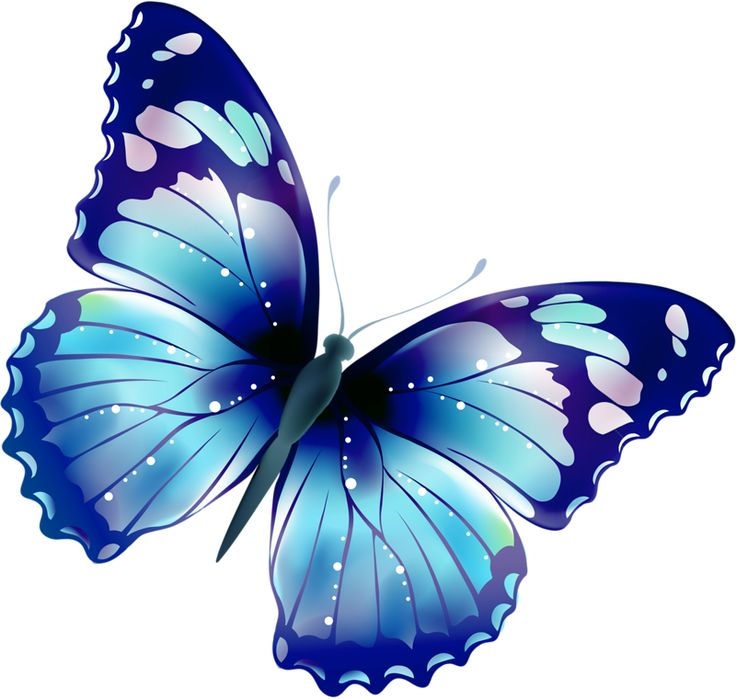 Butterflies Free Clip Art - Butterfly Clipart Transparent Bg PNG - Clip ...