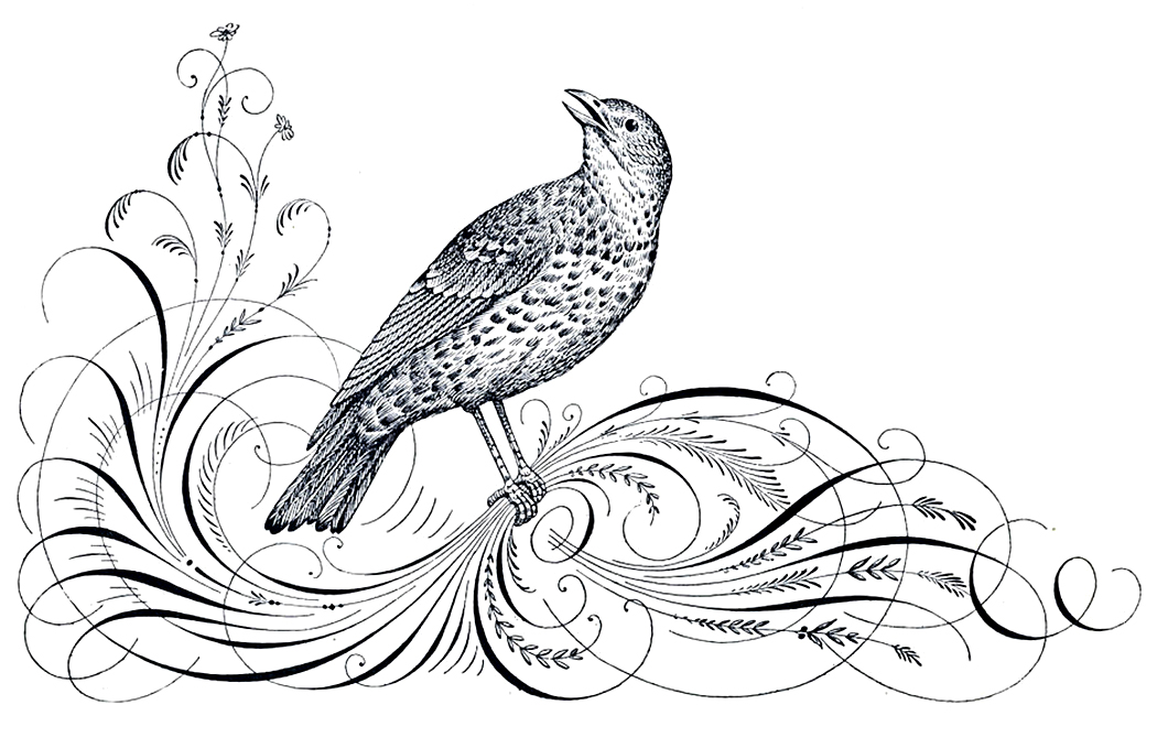 Vintage black-and-white illustration of a speckled bird perched on ornate floral swirls, beak open as if singing.